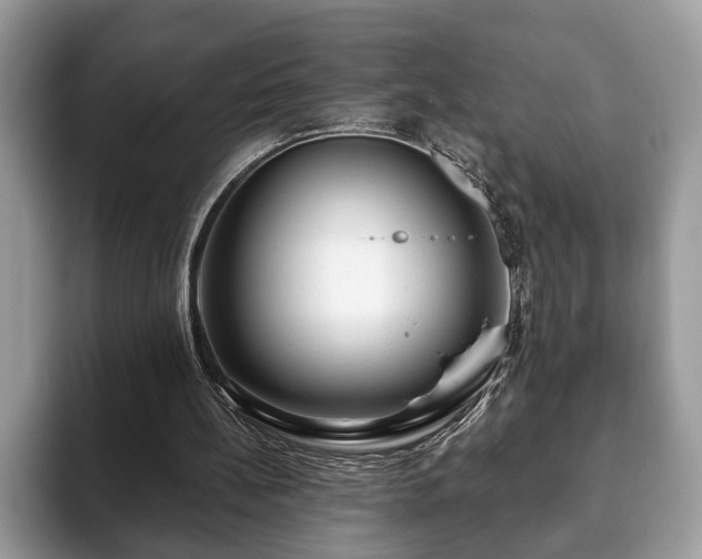 X0000093400148200710190931