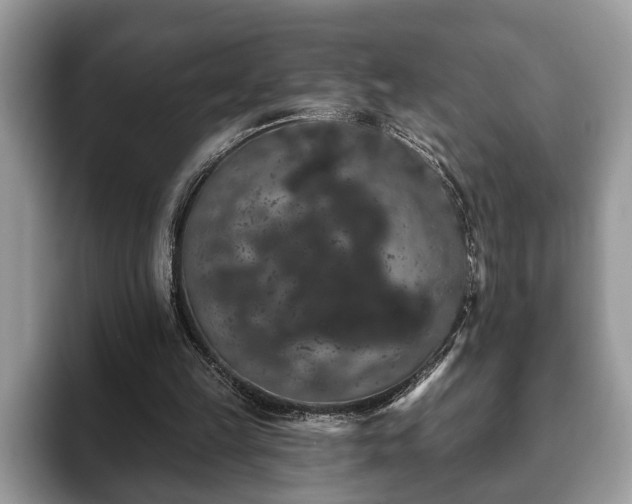 X0000093400149200710190931