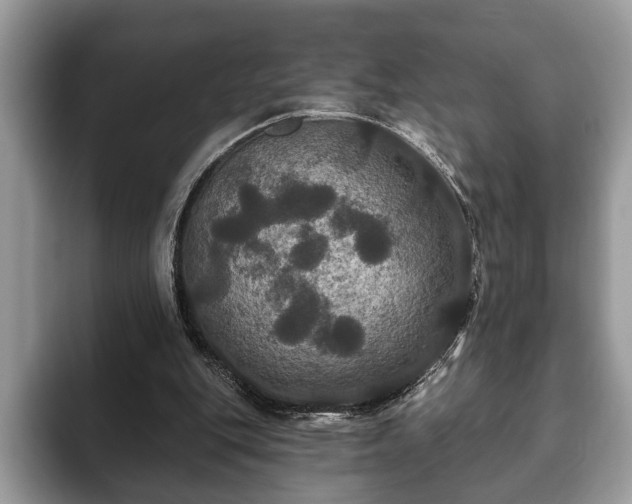 X0000093400151200710190931