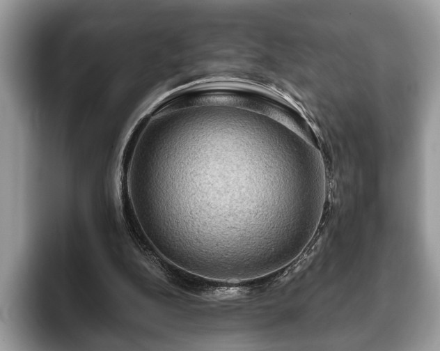 X0000093400152200710190931