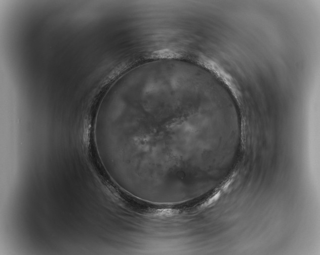 X0000093400153200710190931