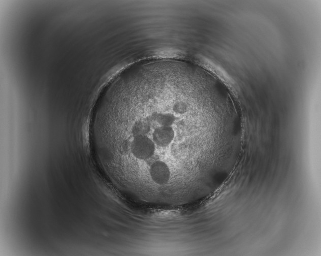 X0000093400155200710190931
