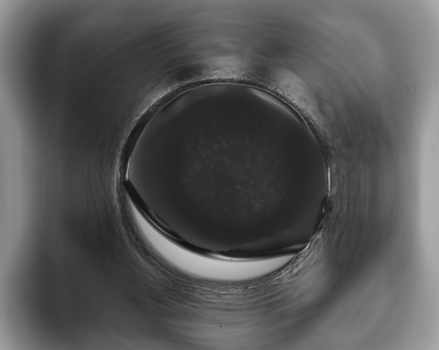 X0000093400156200710190931