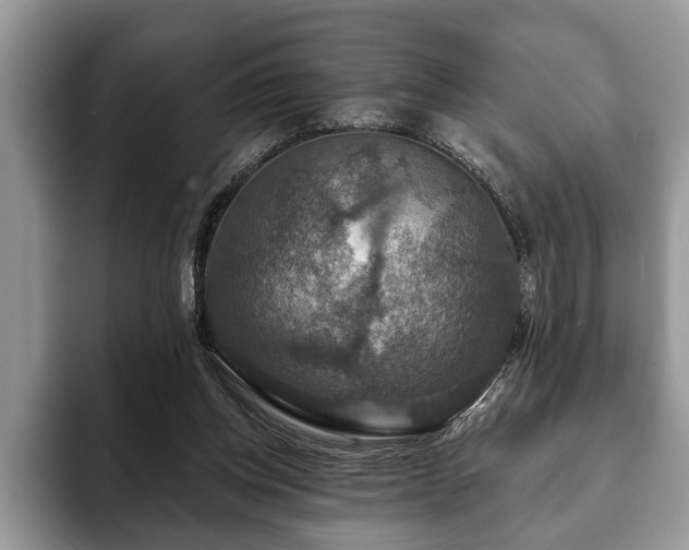 X0000093400158200710190931