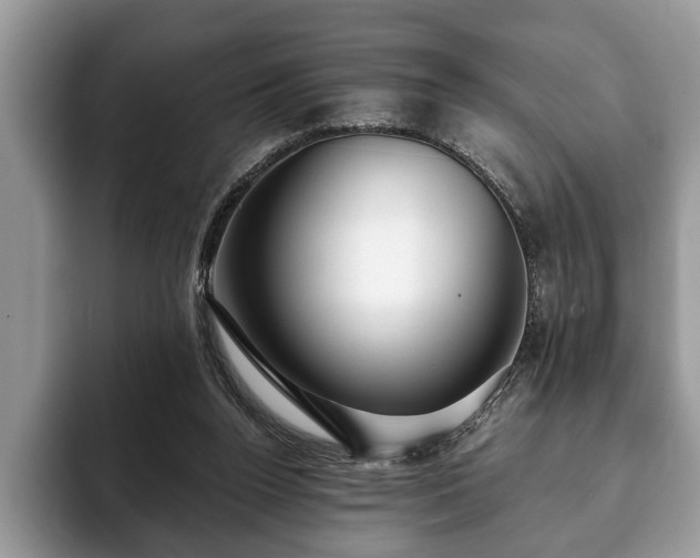 X0000093400160200710190932