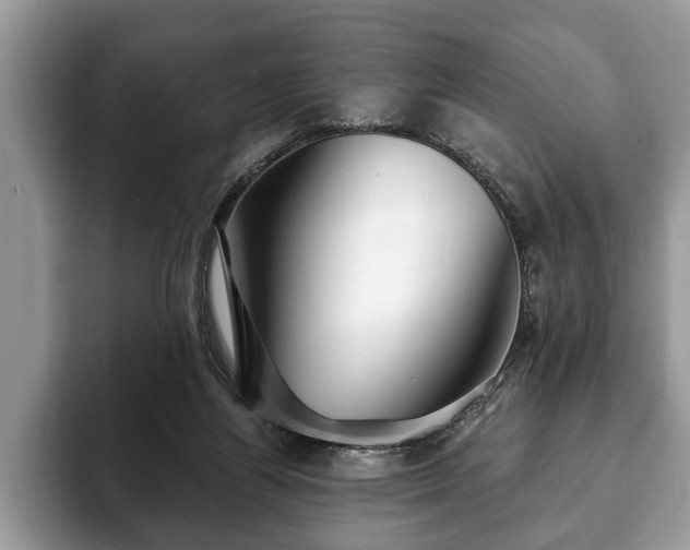 X0000093400164200710190932