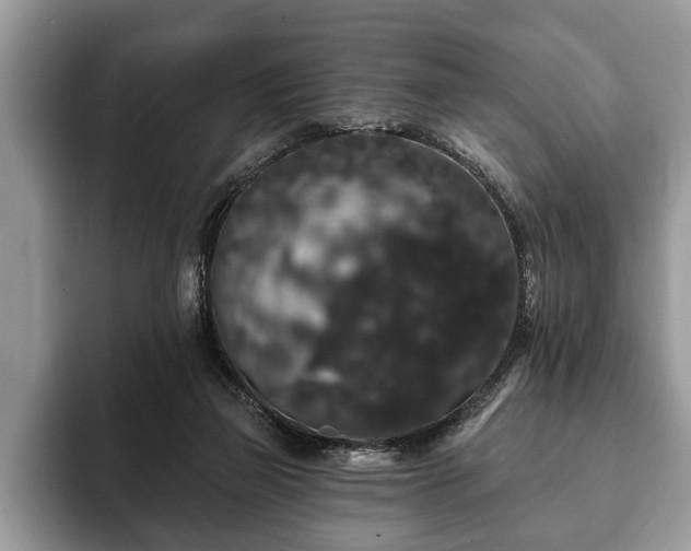 X0000093400165200710190932