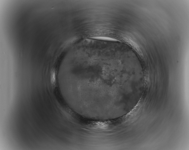 X0000093400166200710190932