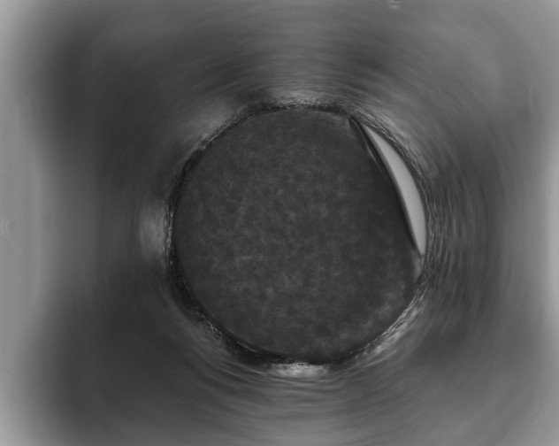 X0000093400168200710190932