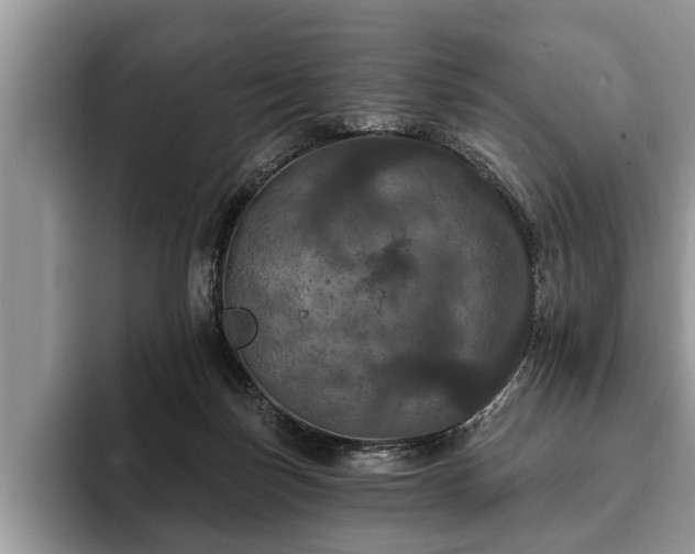 X0000093400171200710190932