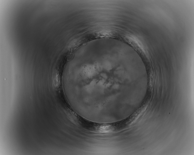 X0000093400173200710190932