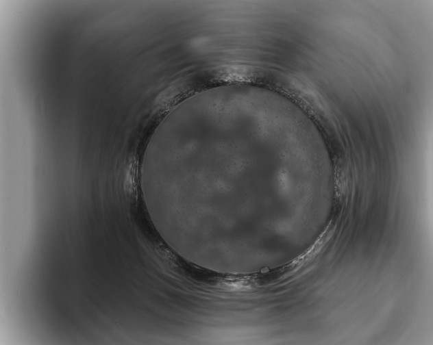 X0000093400175200710190932