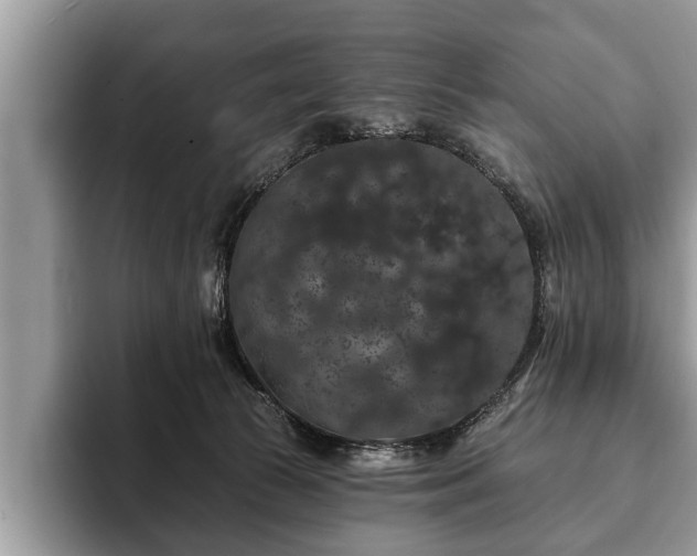 X0000093400177200710190932