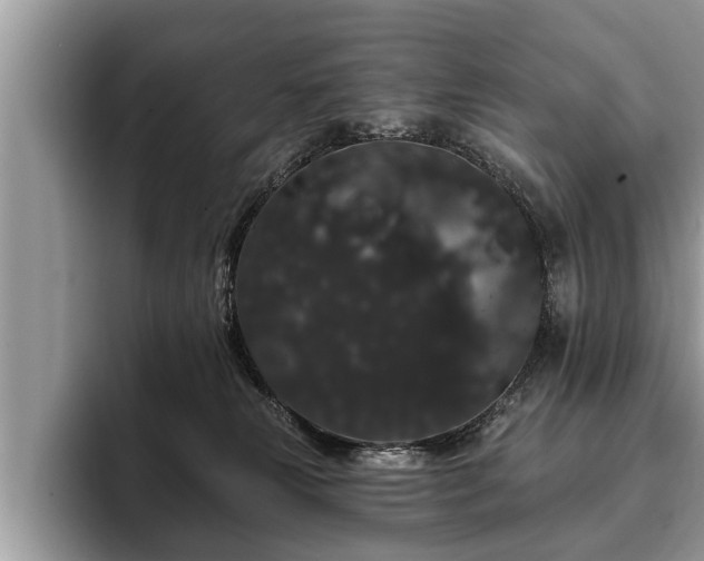 X0000093400181200710190932