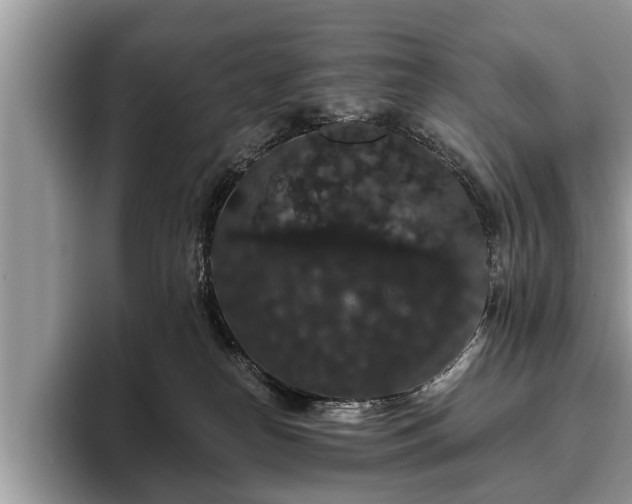 X0000093400182200710190932