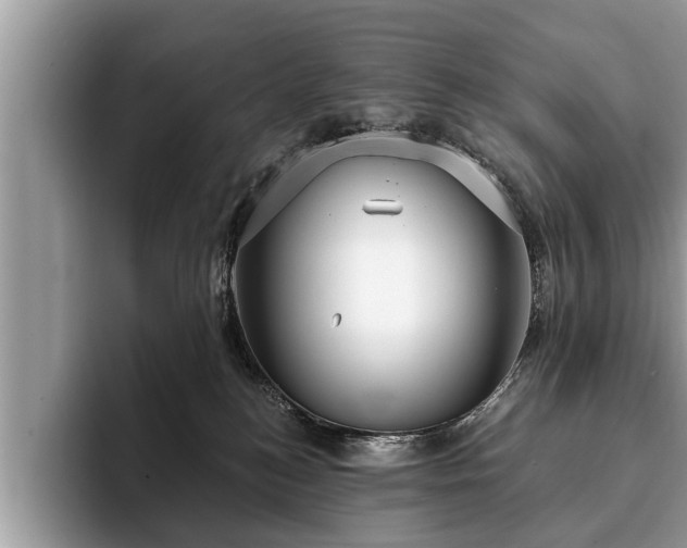X0000093400184200710190932