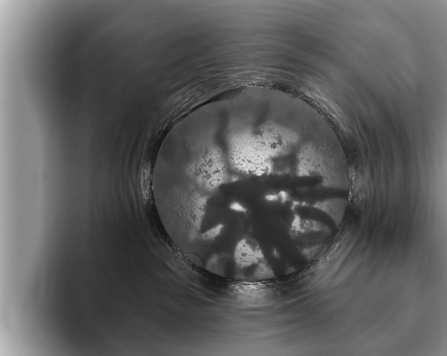 X0000093400189200710190932