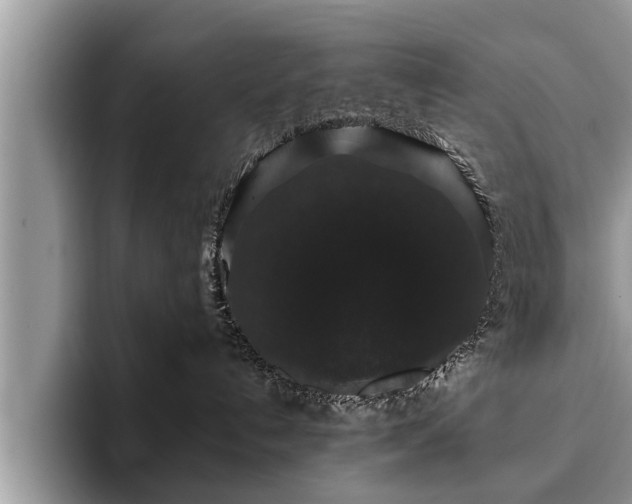 X0000093400192200710190932