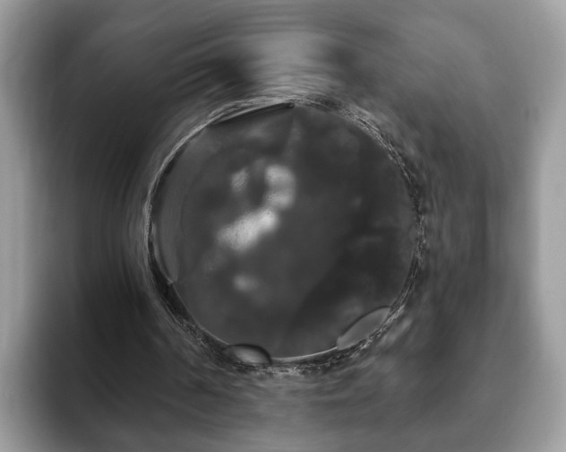 X0000093400194200710190931