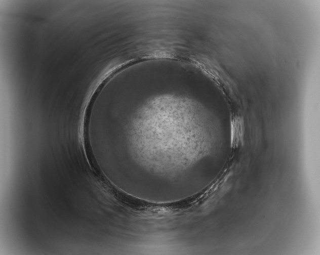 X0000093400195200710190931