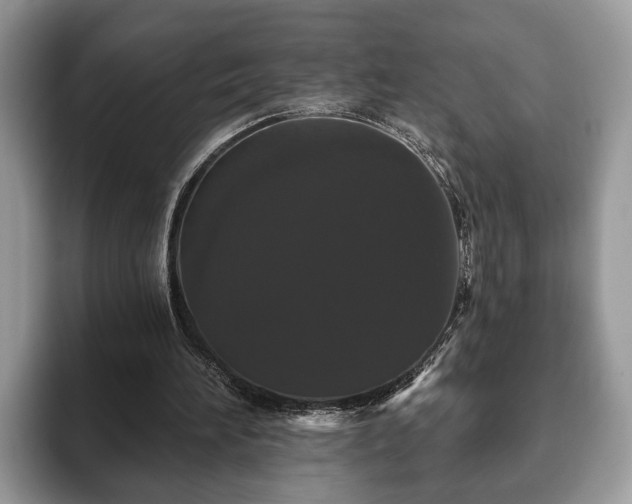 X0000093400196200710190931