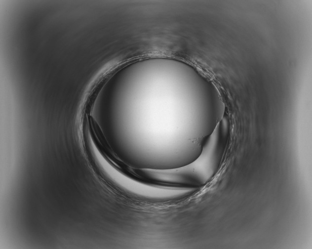 X0000093400197200710190931
