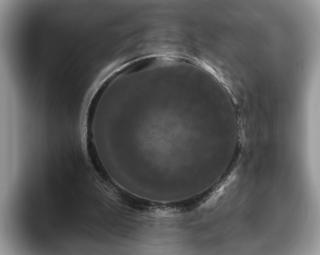 X0000093400199200710190931