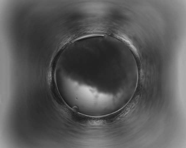 X0000093400202200710190931