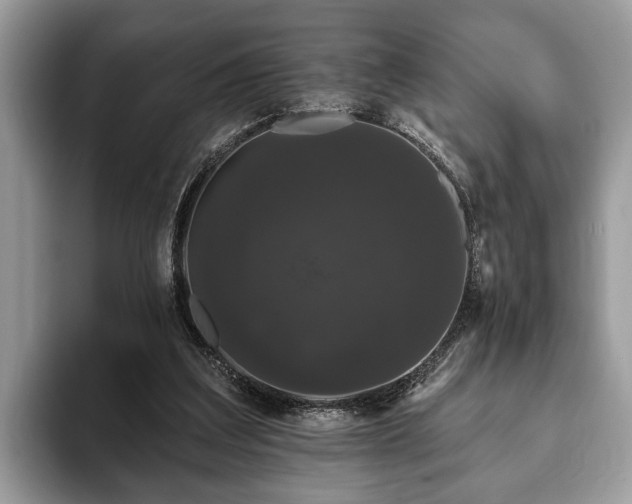 X0000093400203200710190931