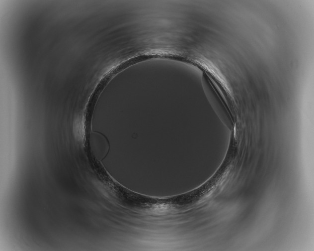 X0000093400204200710190931
