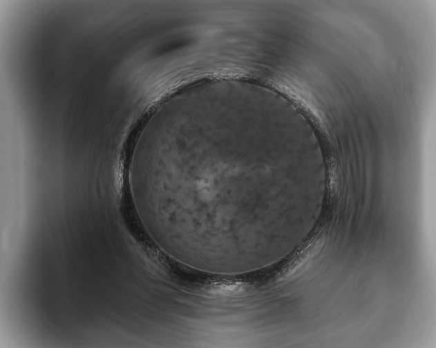 X0000093400206200710190931