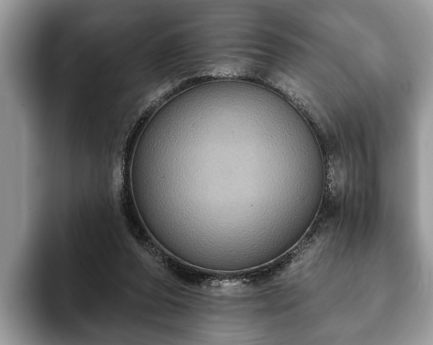 X0000093400208200710190931