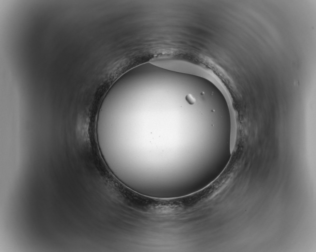 X0000093400209200710190931