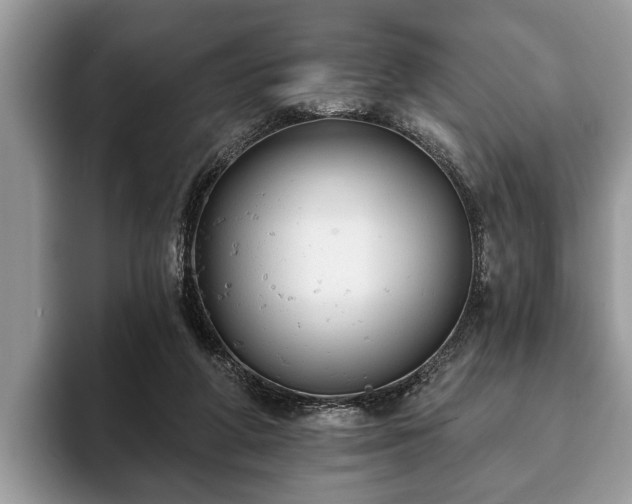 X0000093400210200710190931