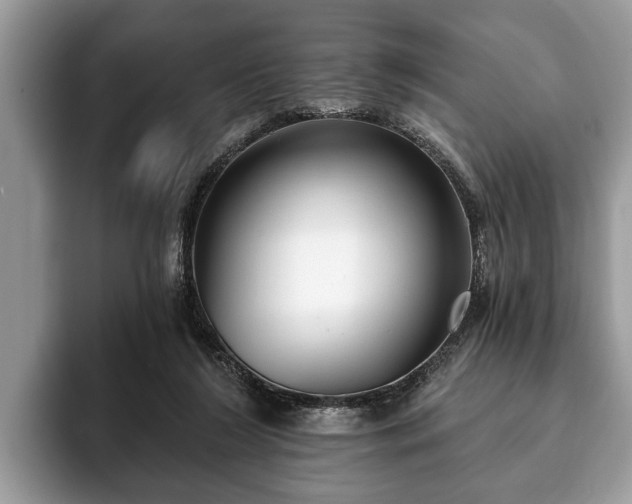 X0000093400212200710190931
