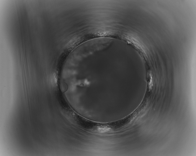X0000093400214200710190931