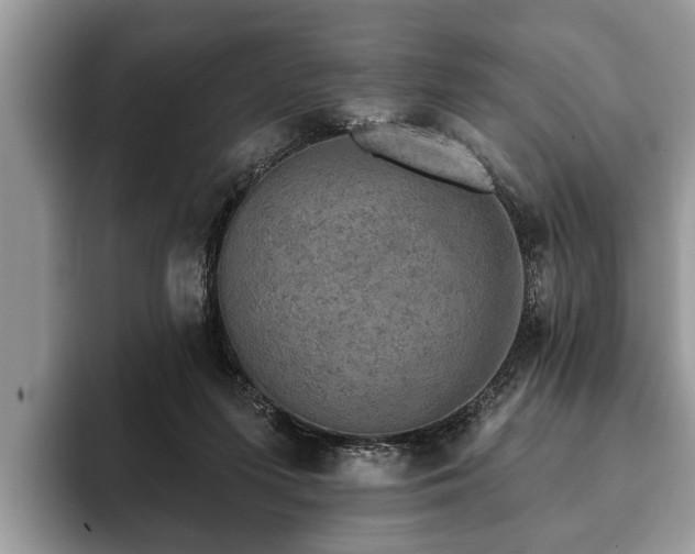 X0000093400215200710190931