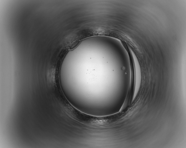 X0000093400217200710190931