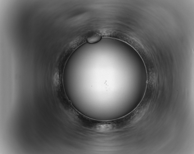 X0000093400220200710190931