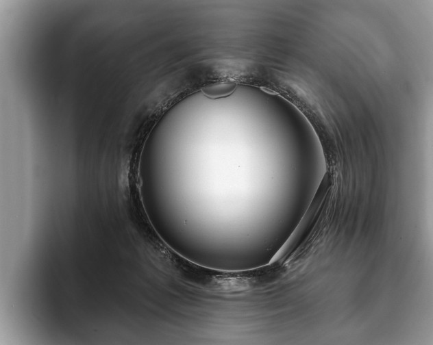 X0000093400221200710190931