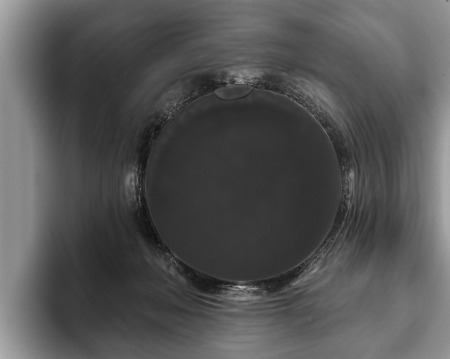X0000093400222200710190931