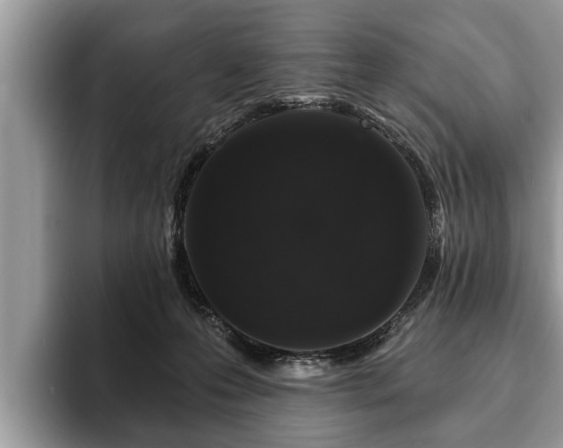 X0000093400223200710190931