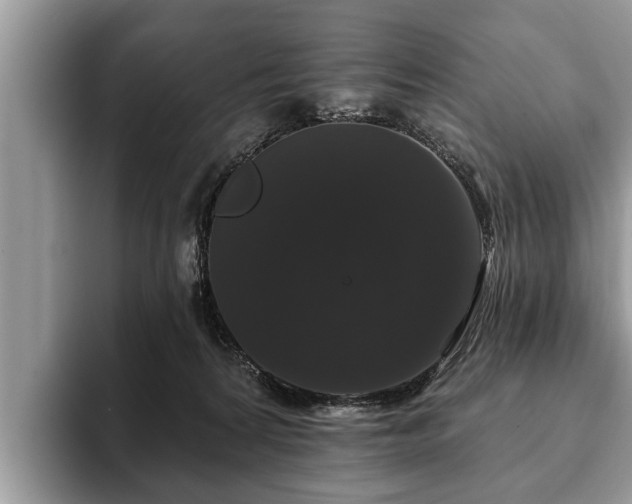 X0000093400224200710190931