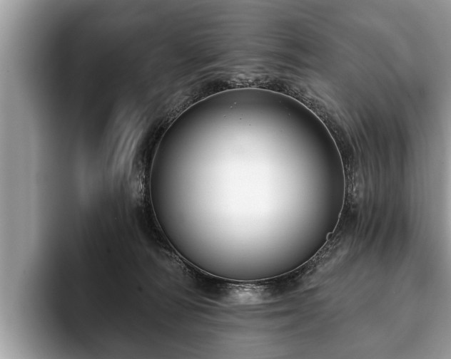X0000093400226200710190931