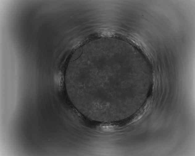X0000093400228200710190931