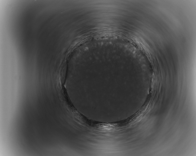 X0000093400229200710190931
