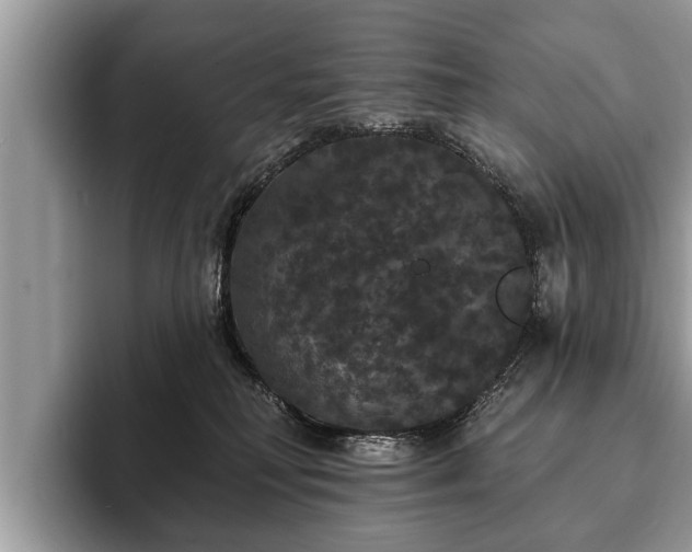 X0000093400230200710190931