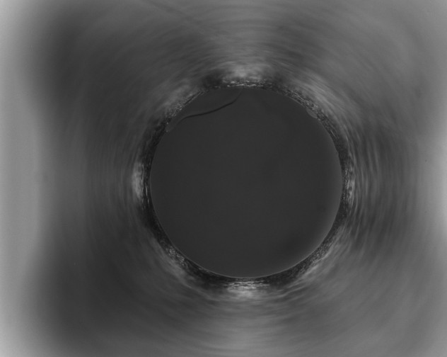 X0000093400231200710190931
