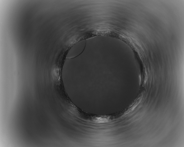 X0000093400232200710190931