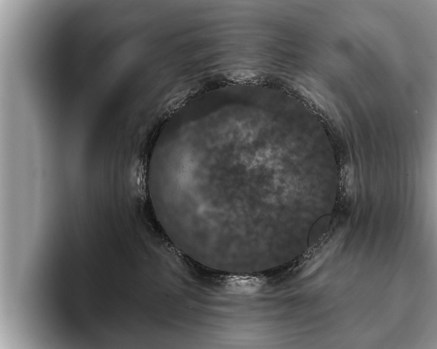 X0000093400234200710190931